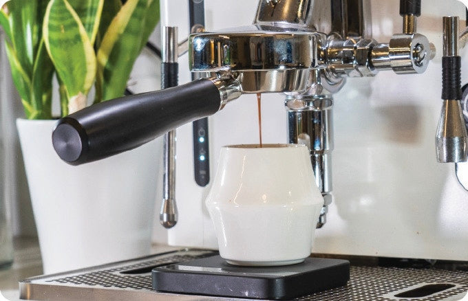 Perfect Pair: Espresso + Latte Set