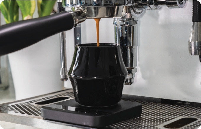 Perfect Pair: Espresso + Latte Set